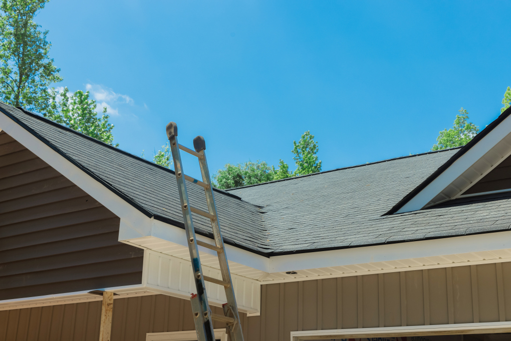 Metal ladder leaning against residential roof with dark shingles and beige siding under clear blue sky